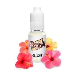 Hibiscus Flavorah Hibiscus Flavorah